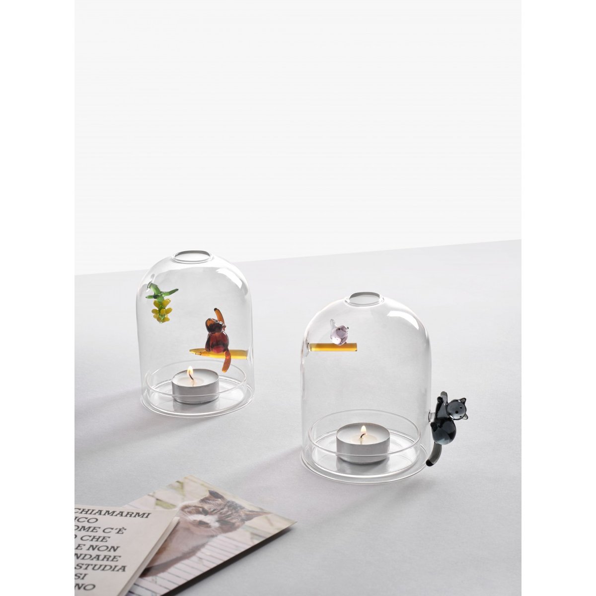 Bougeoir Chat Animal Farm transparent, ICHENDORF