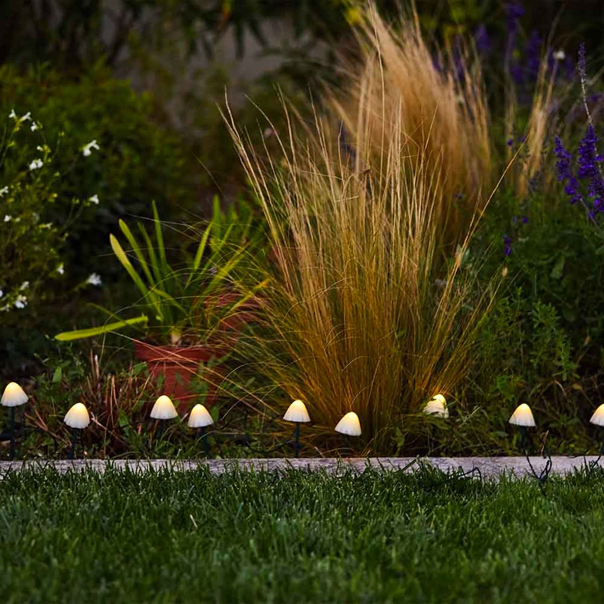 Lot de 10 mini champignons solaires CHAMPY blanc, LUMISKY