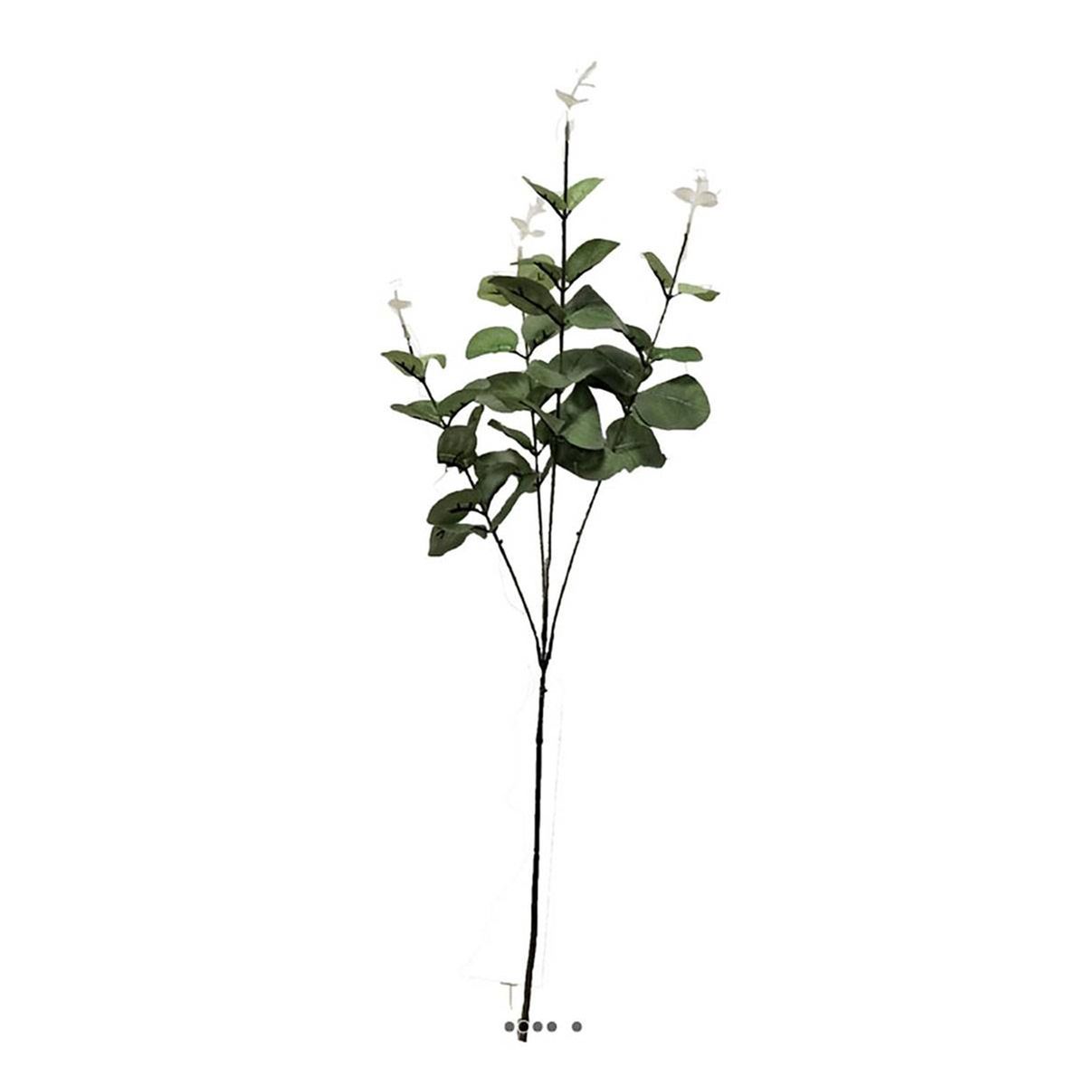 Branche de faux eucalyptus H 65 cm 4 ramures v002239, ARTIFICIELLES