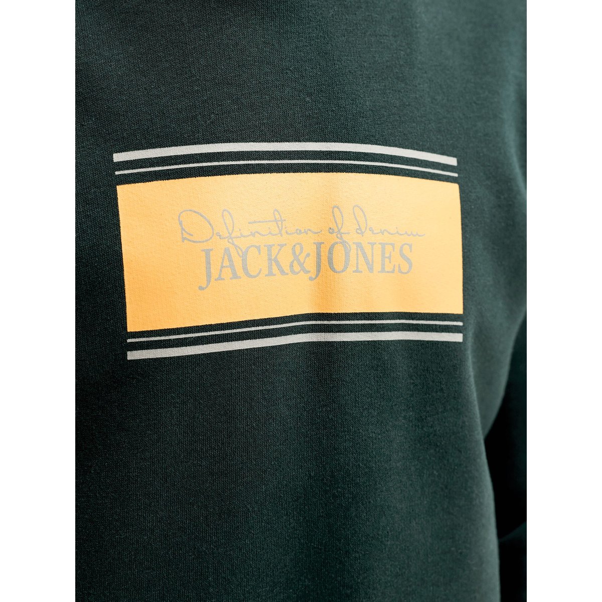 Sweat À Capuche scarab, JACK & JONES JUNIOR