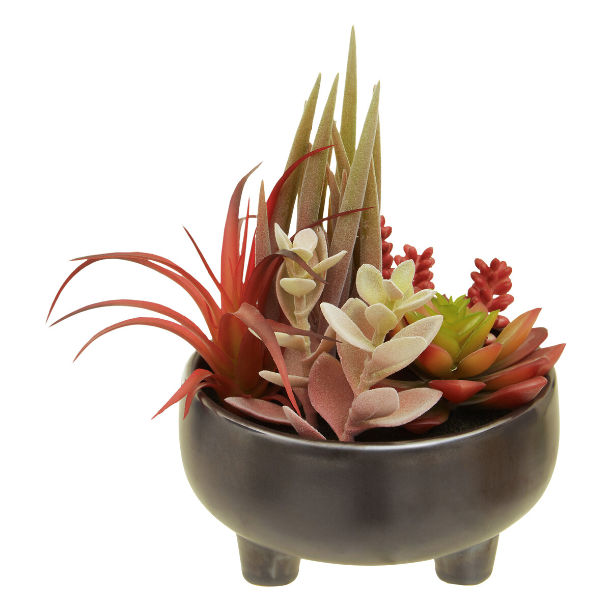 24cm Artificial Fiori Mixed Succulent in Grey Ceramic Pot multi-coloured, SO'HOME