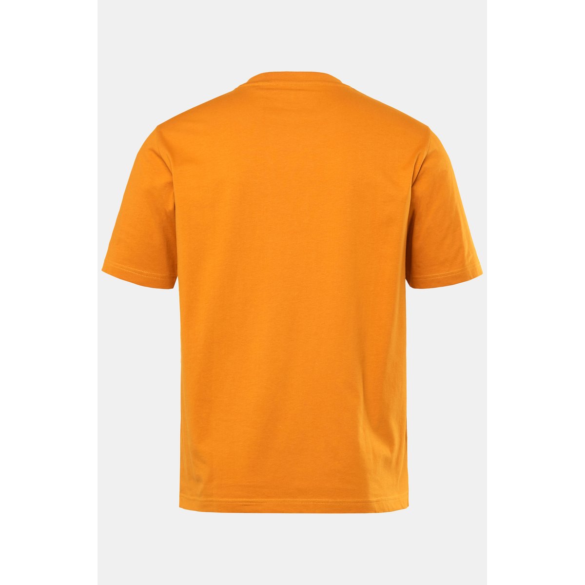 T-shirt, manches courtes. Imprimé poitrine curry, JP1880