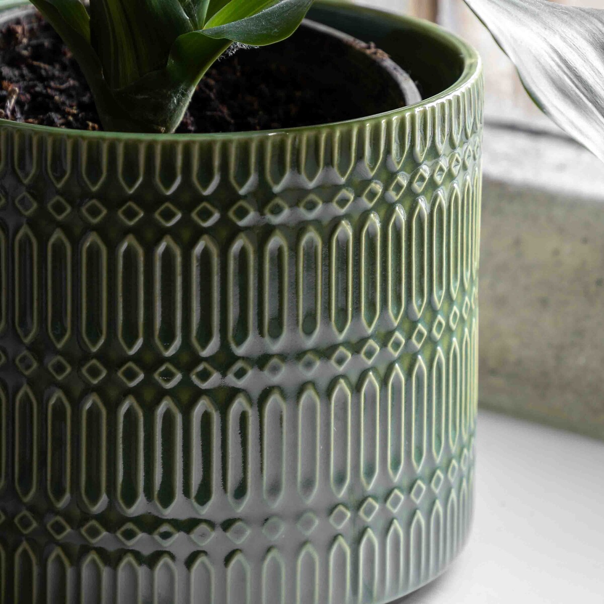 Salara Embossed Planter in Olive green, ÉDITÉ