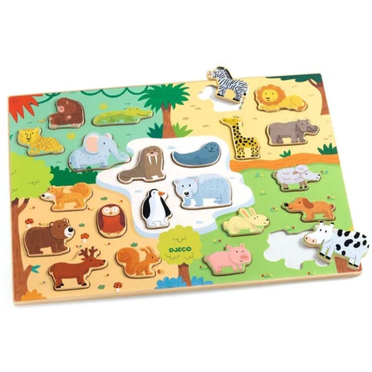 Puzzlo Animo multicolore, DJECO