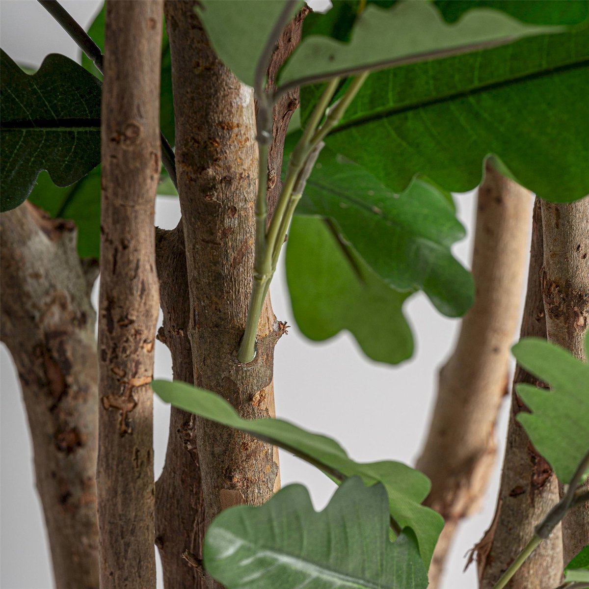 Plante artificielle chêne réaliste vert, noir et bois brun, RECOLLECTION