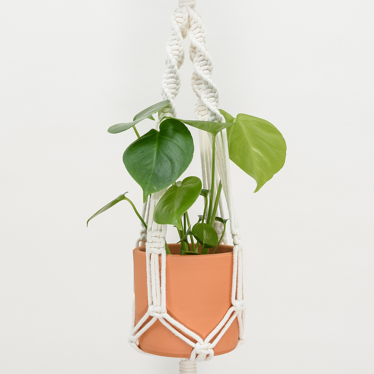 Plant Hanger Equilíbrio, Klumba branco, KLUMBA
