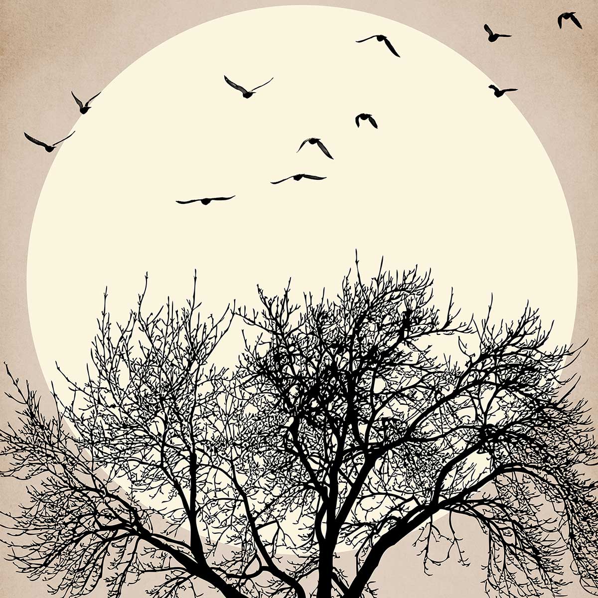 Affiche dessin ""Arbre scintillant"" affiche + cadre en bois - noir, HEXOA