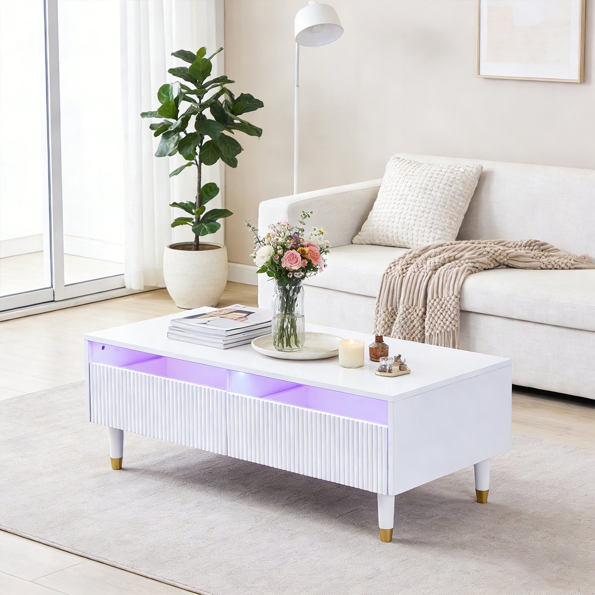 Table basse avec 2 tiroirs style moderne, CATTAIL white, MEUBLES COSY