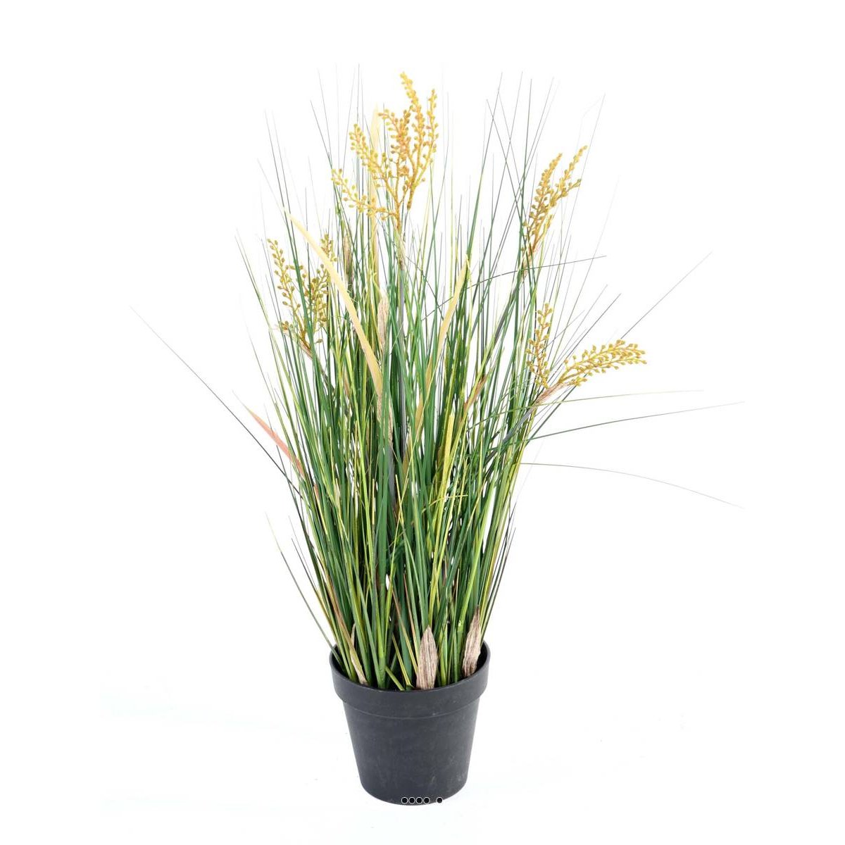 Isolepsis artificiel Graminée Papyrus scirpes v002239, ARTIFICIELLES