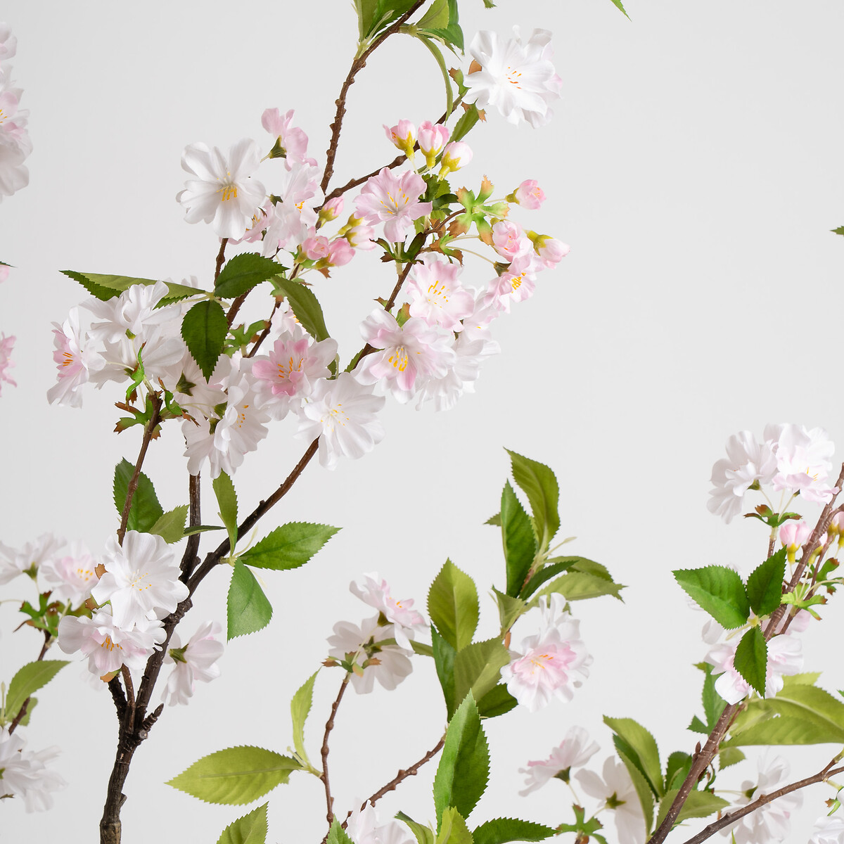 180cm Cherry Blossom Tree  in Pot pink, SO'HOME