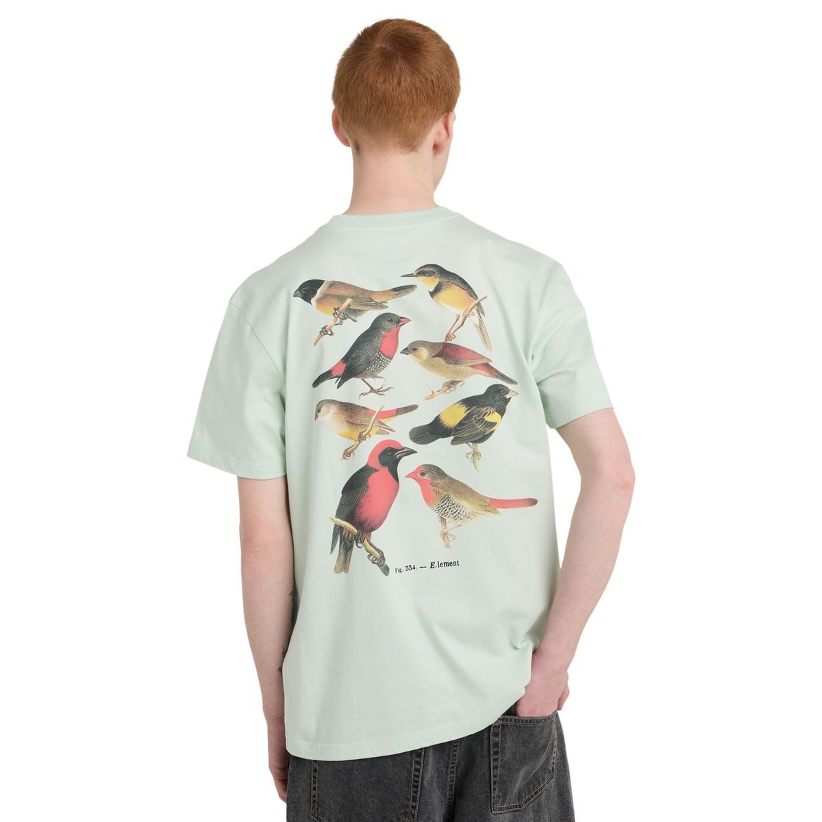 T-Shirt à manches courtes ORNI vert green lily, ELEMENT