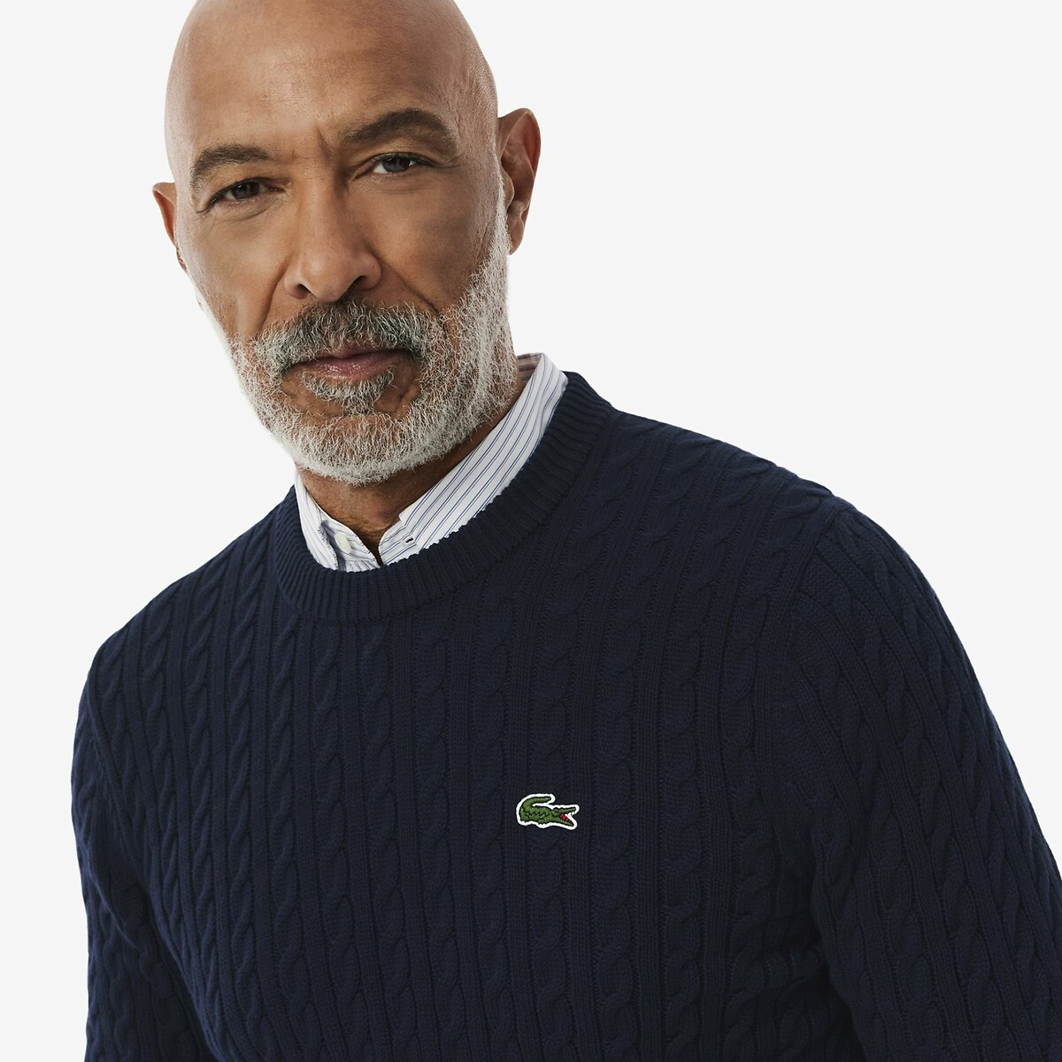 Cable Knit Jumper with Crew Neck navy blue, LACOSTE