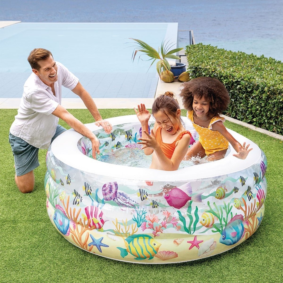 Piscinette Aquarium couleur unique, INTEX