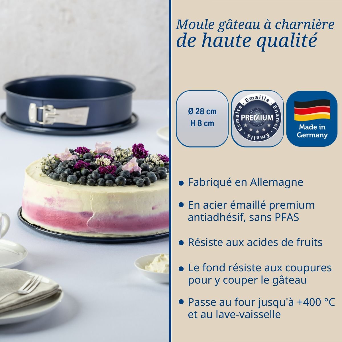 Lot de 2 moules à gâteaux 28/28 cm en acier BACK-LIEBE bleu, DR OETKER
