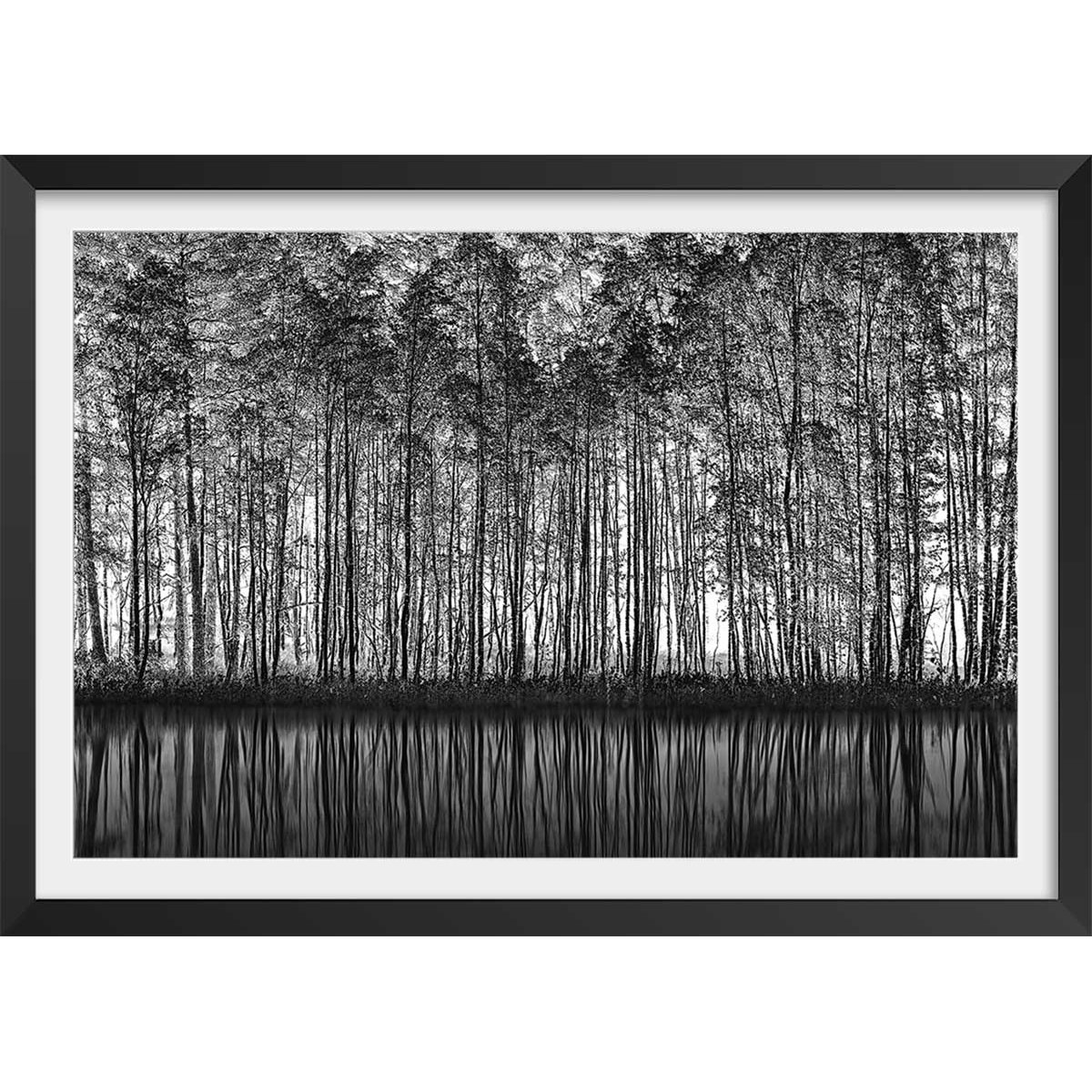 Affiche nature pointillisme affiche + cadre en bois - noir, HEXOA