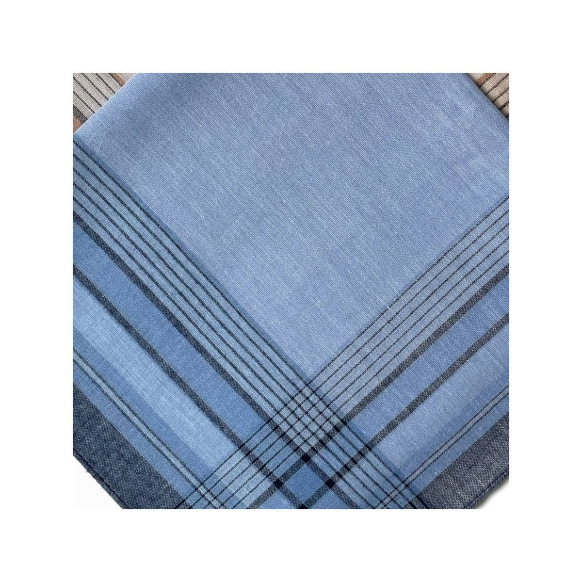 Lot de 12 mouchoirs Homme MATHIEU 40x40 100% coton bleu, DECORATIE