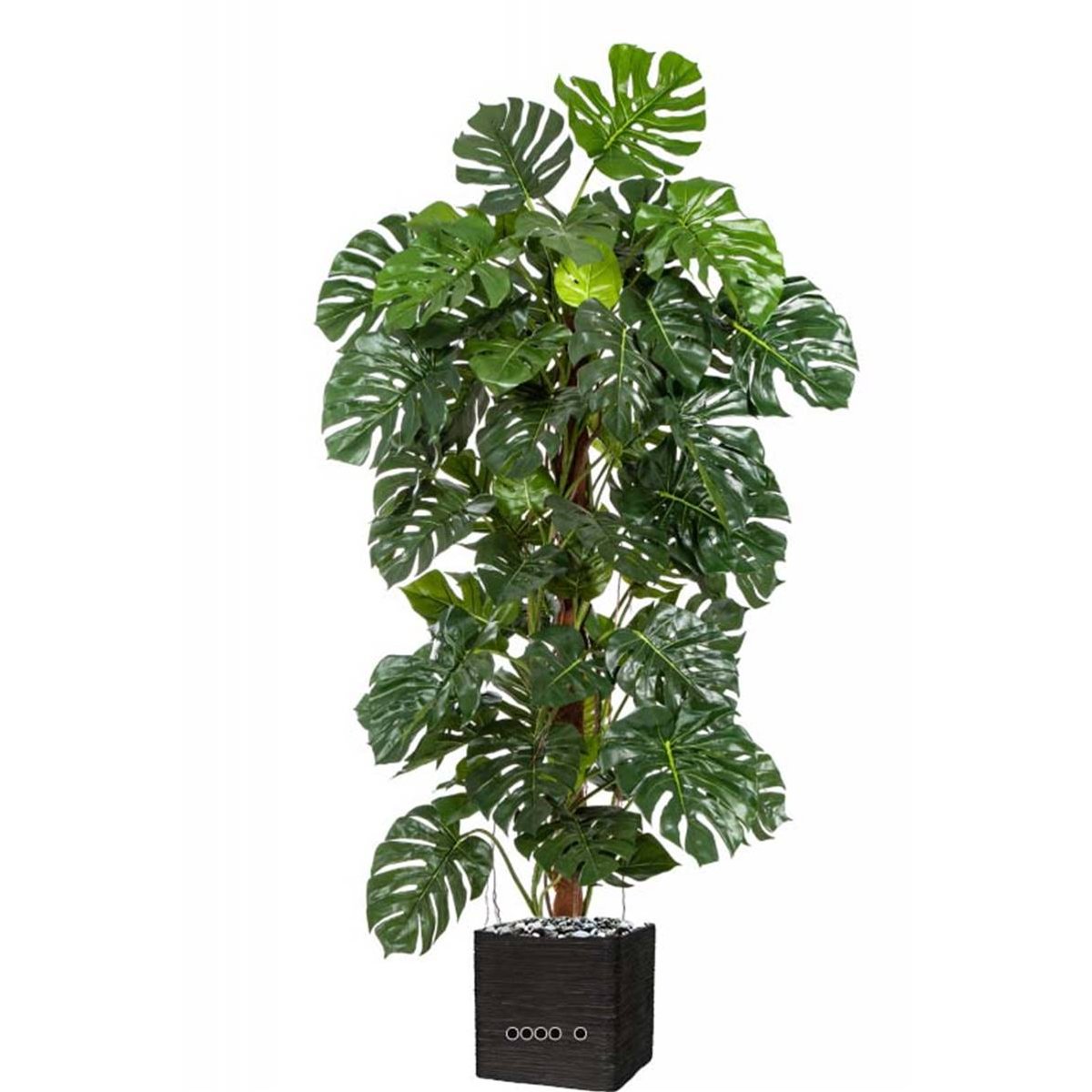 Monstera artificiel sur pied, en pot, H 1 gris, ARTIFICIELLES