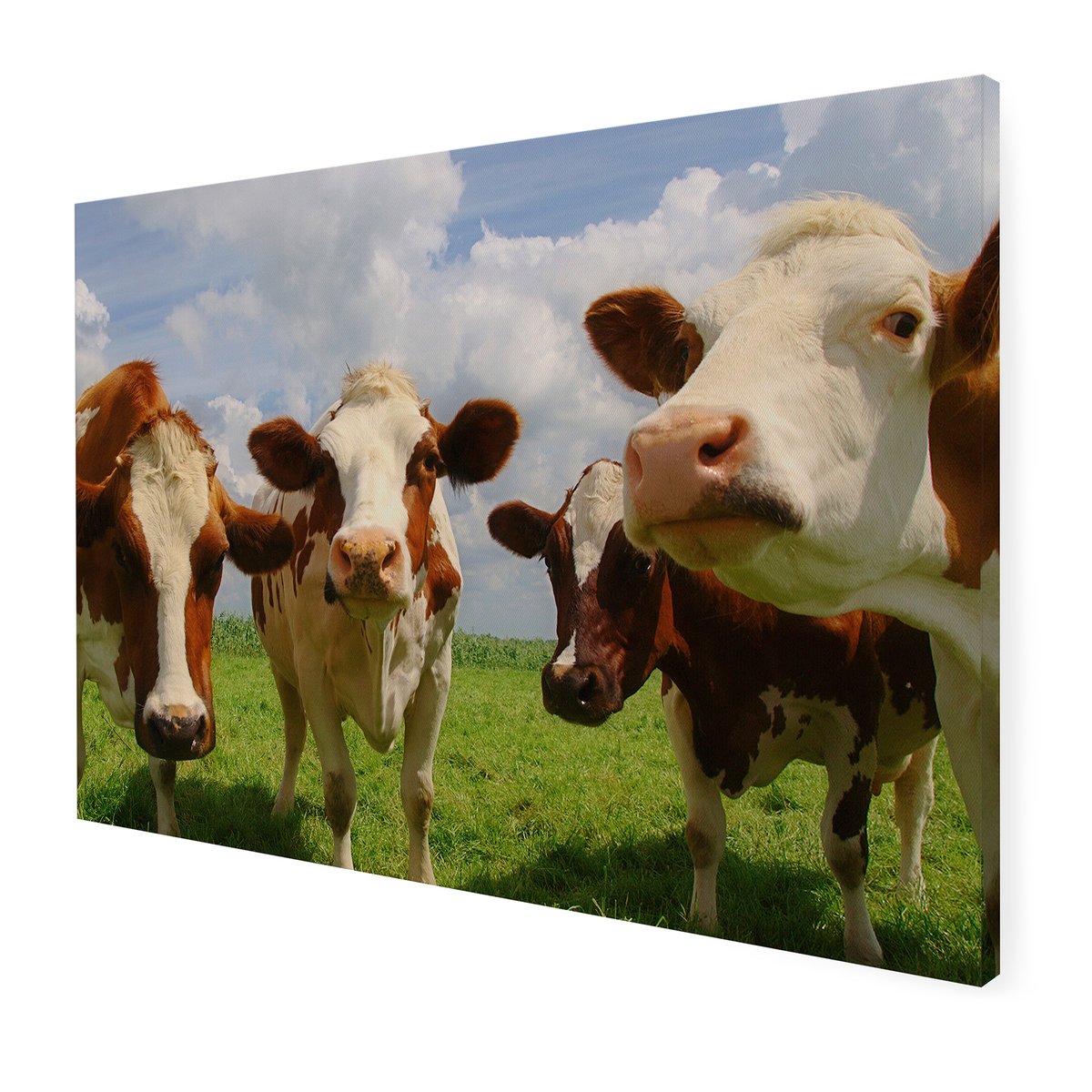 Tableau de jardin Cercle de Vaches marron, vert, ART FOR THE HOME