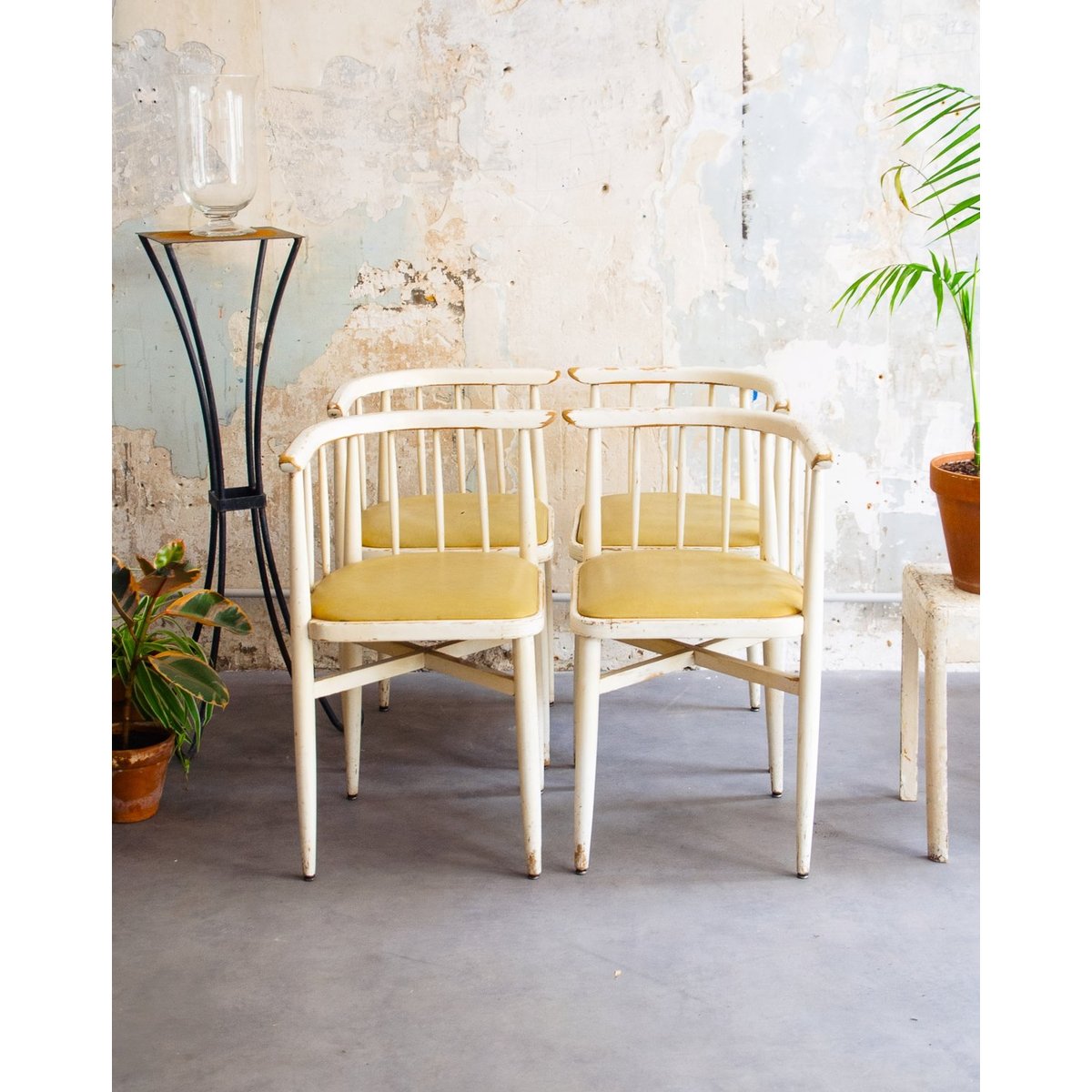 Lot de 4 chaises courbées Claude N°1251 - Bon état bois clair, DEBONGOUT