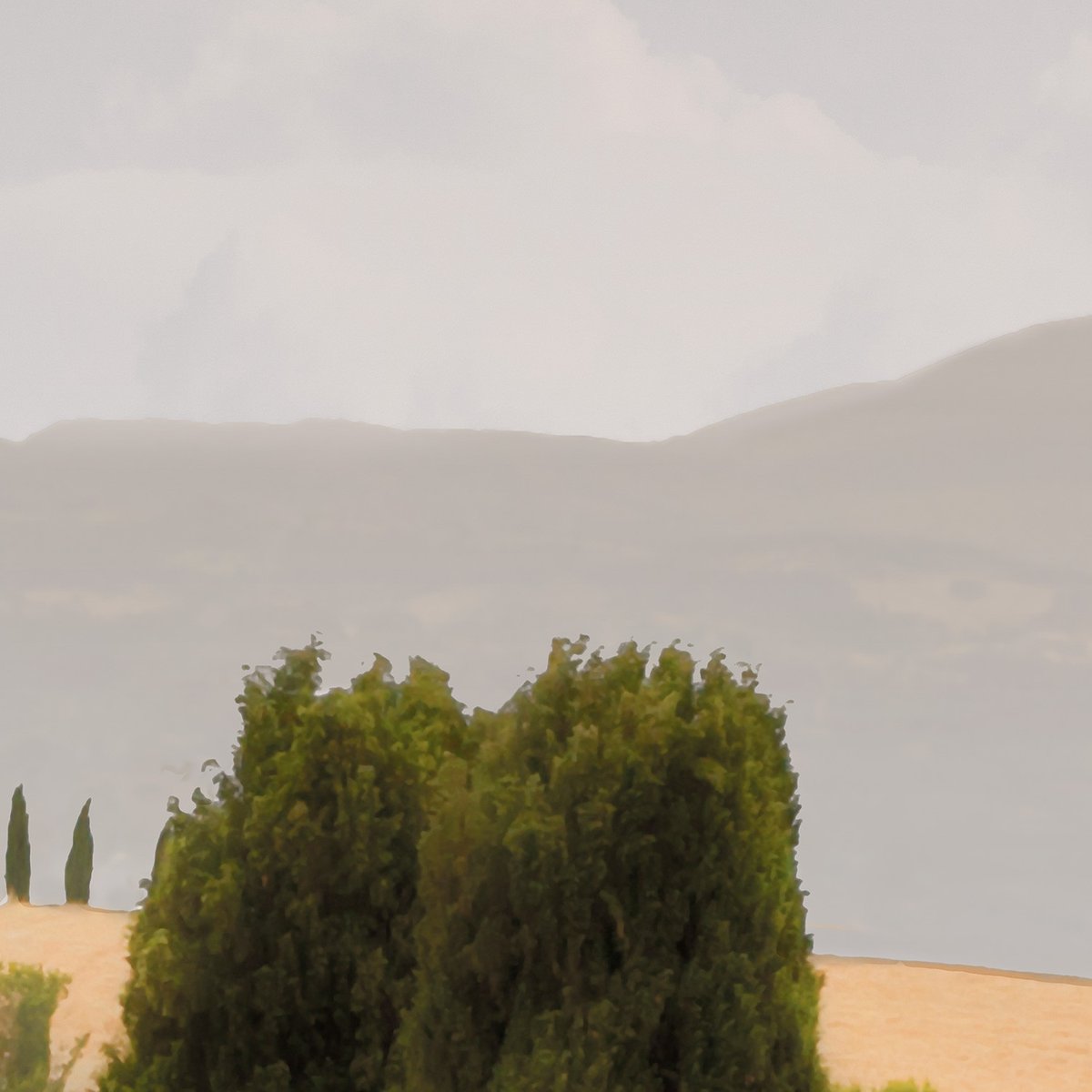 Papier peint panoramique TOSCANE SWEET multicolore, LE PAPIERS DE NINON