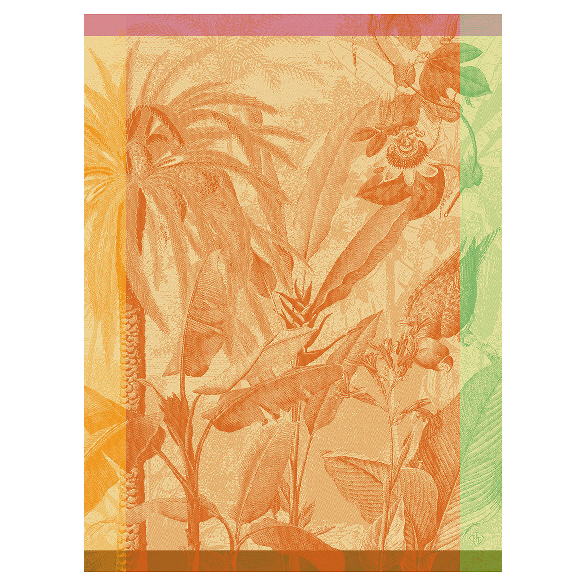 Torchon en Coton, ÉQUATEUR toucan, LE JACQUARD FRANCAIS