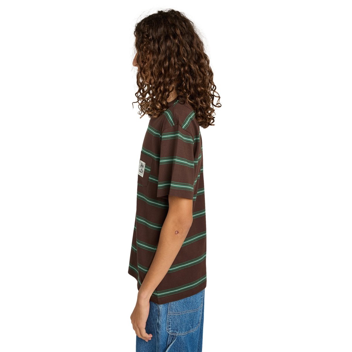 T-shirt à manches courtes BIGFOOT POCKET LABEL marron bigfoot java stripe, ELEMENT
