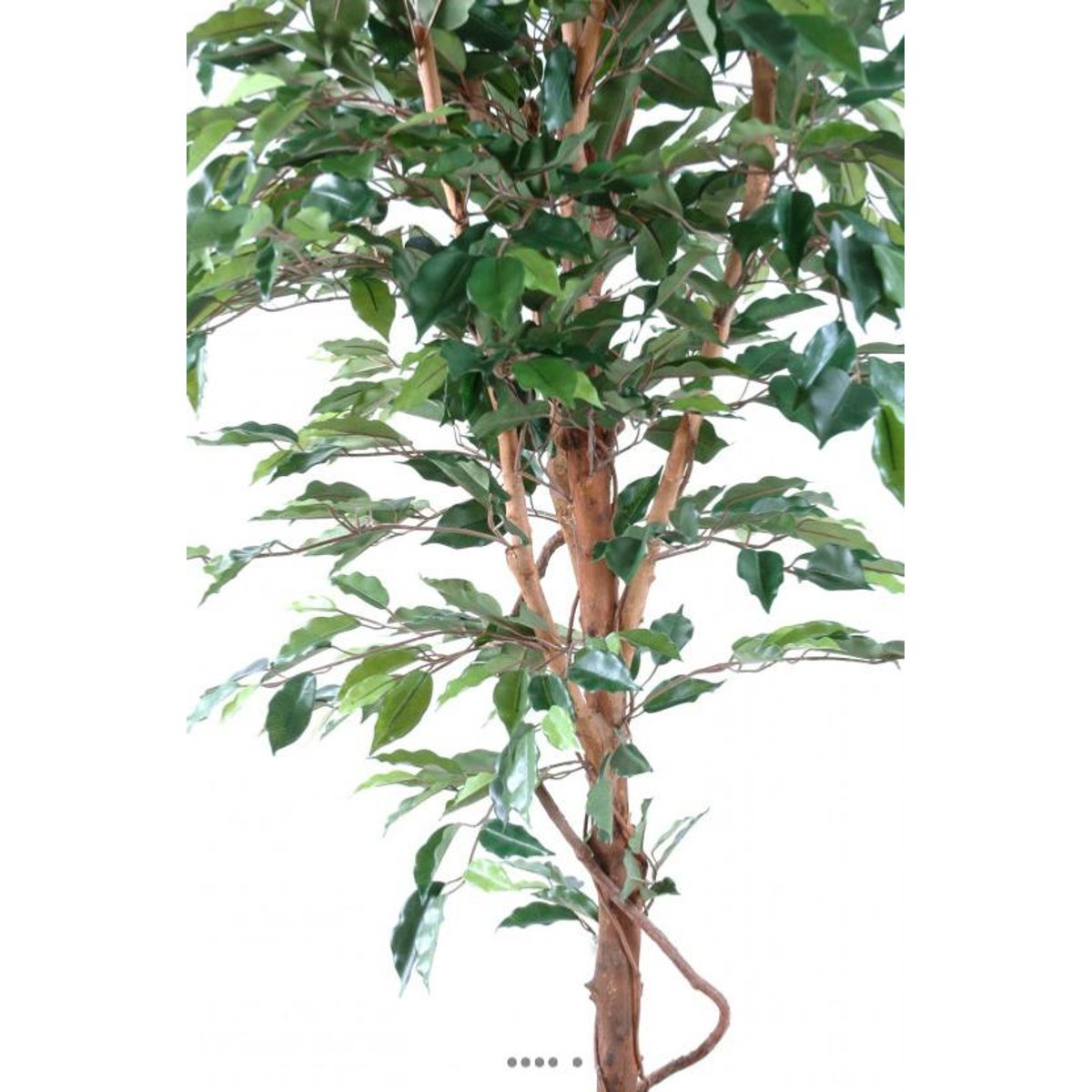 Ficus Benjamina factice grande f vert, ARTIFICIELLES
