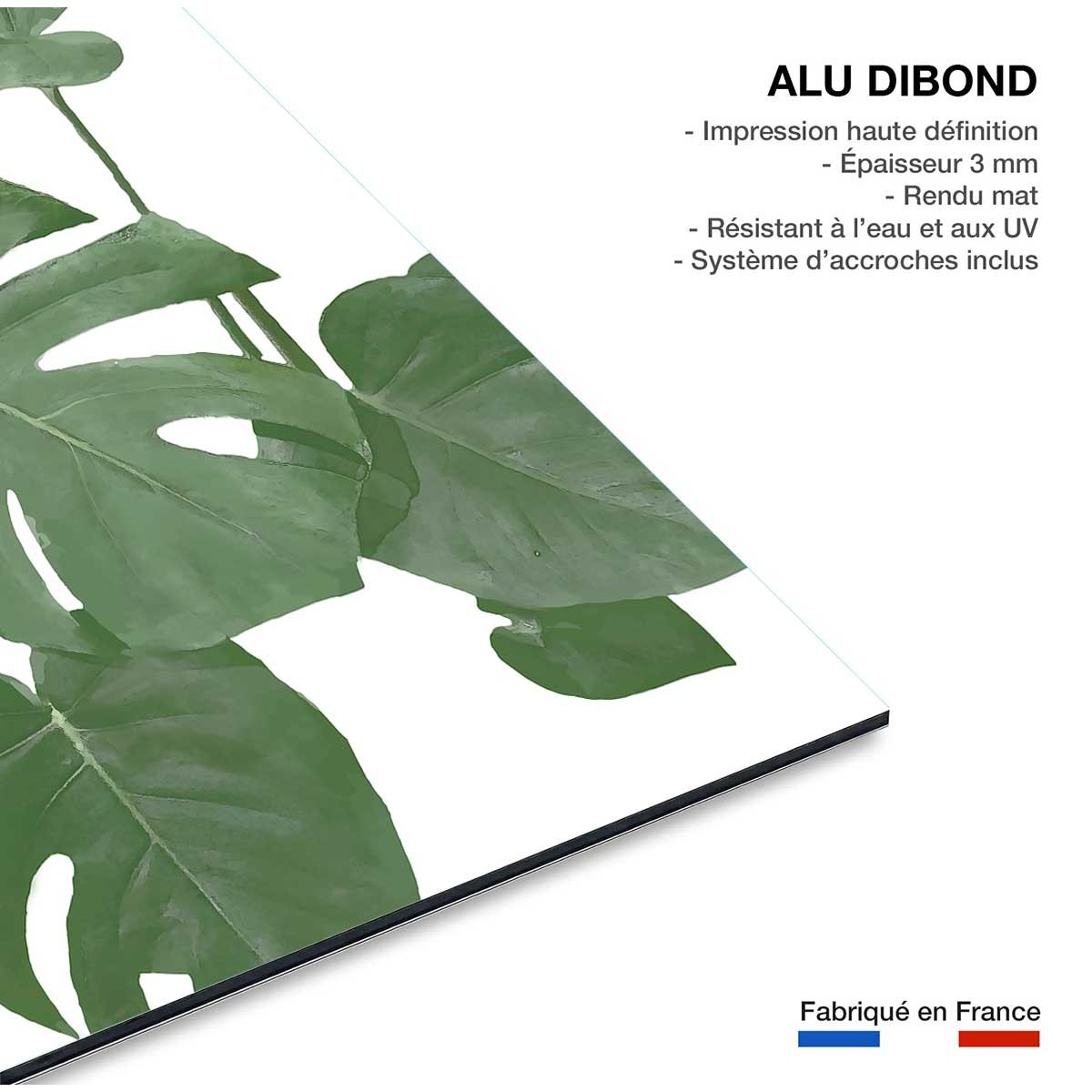 Tableau Feuilles de Monstera tableau alu dibond, HEXOA