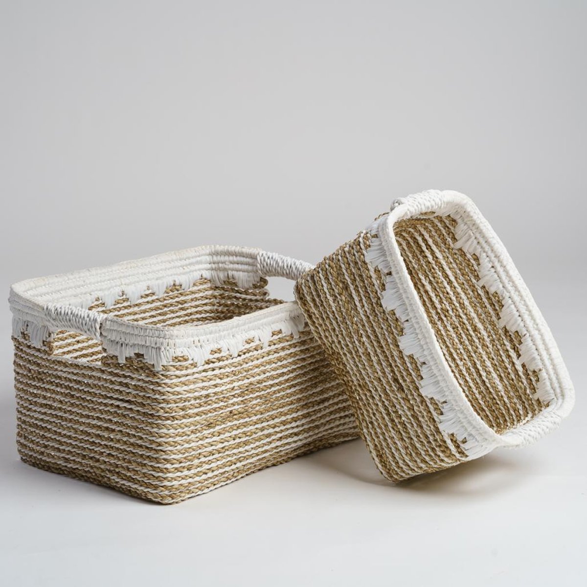 Lot de 2 paniers de rangement rectangulaire XL-M CATY blanc, WANDA COLLECTION