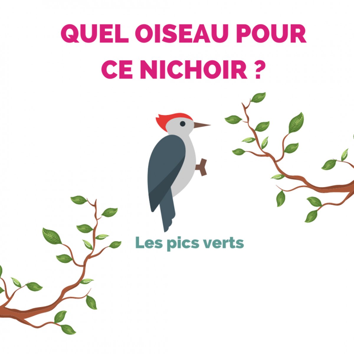 Nichoir oiseaux rond maison en bois couleur unique, AUBRY GASPARD
