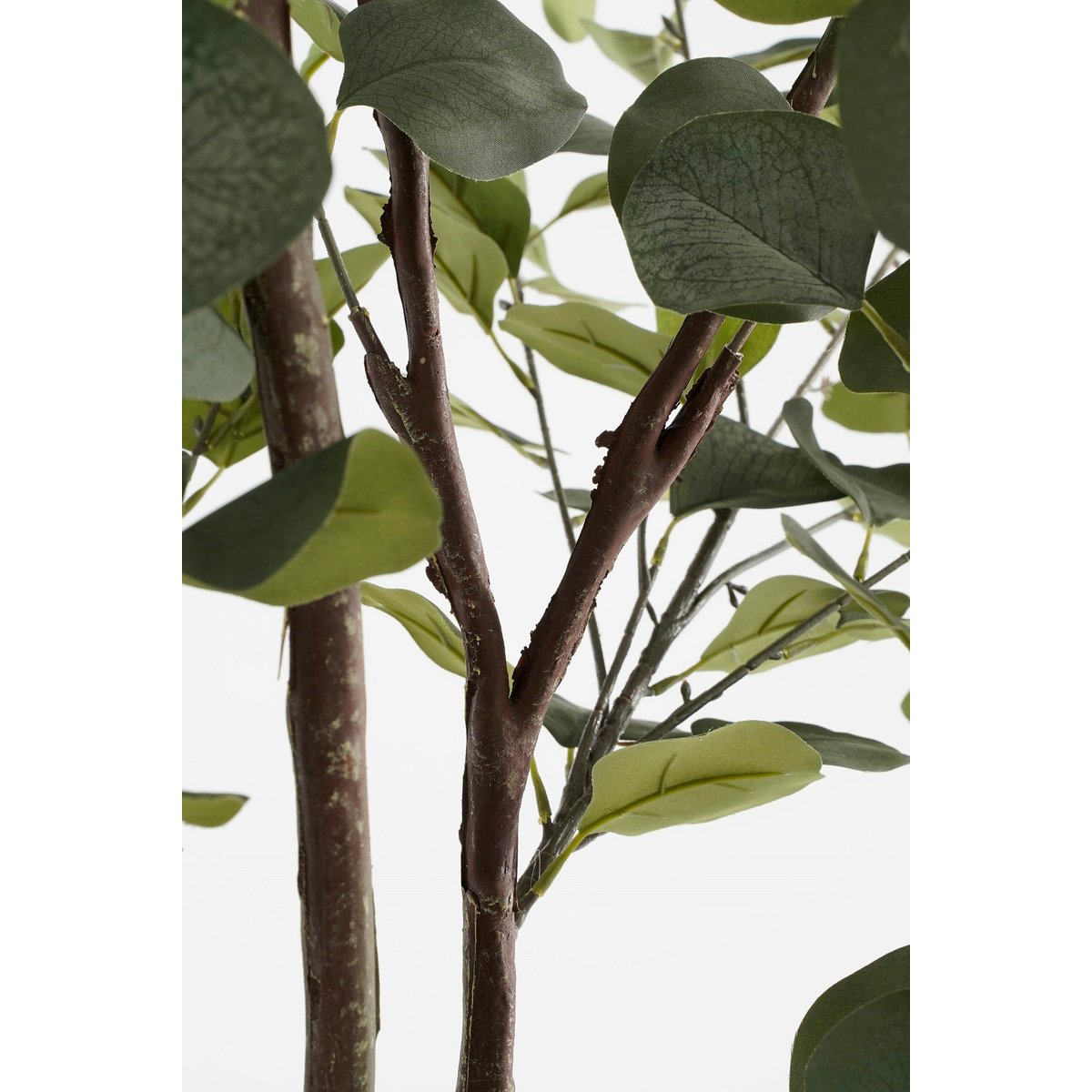 Plante artificielle EUCALYPTUS vert, MICA DECORATIONS