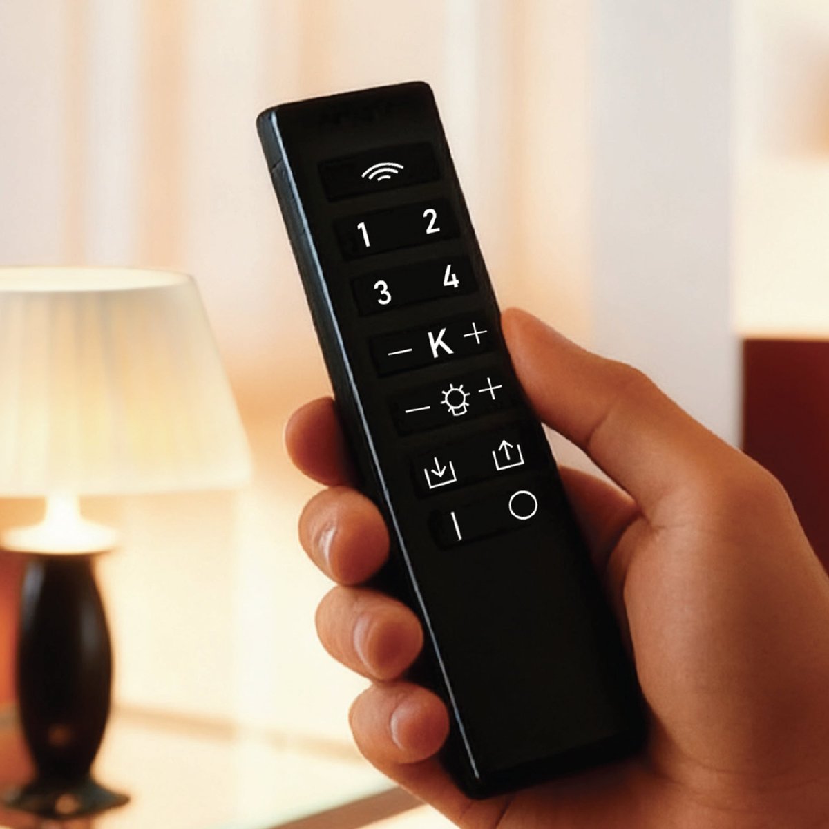 Accessoire REMOTE CONTROL noir, LUMISKY