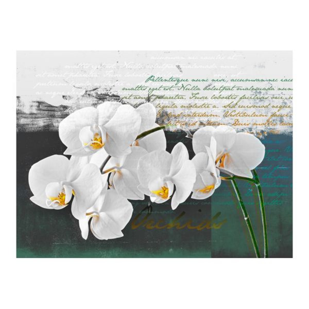 Papier peint intissé panoramique Fleurs Orchidées - inspiration du poète multicouleur, EDEN