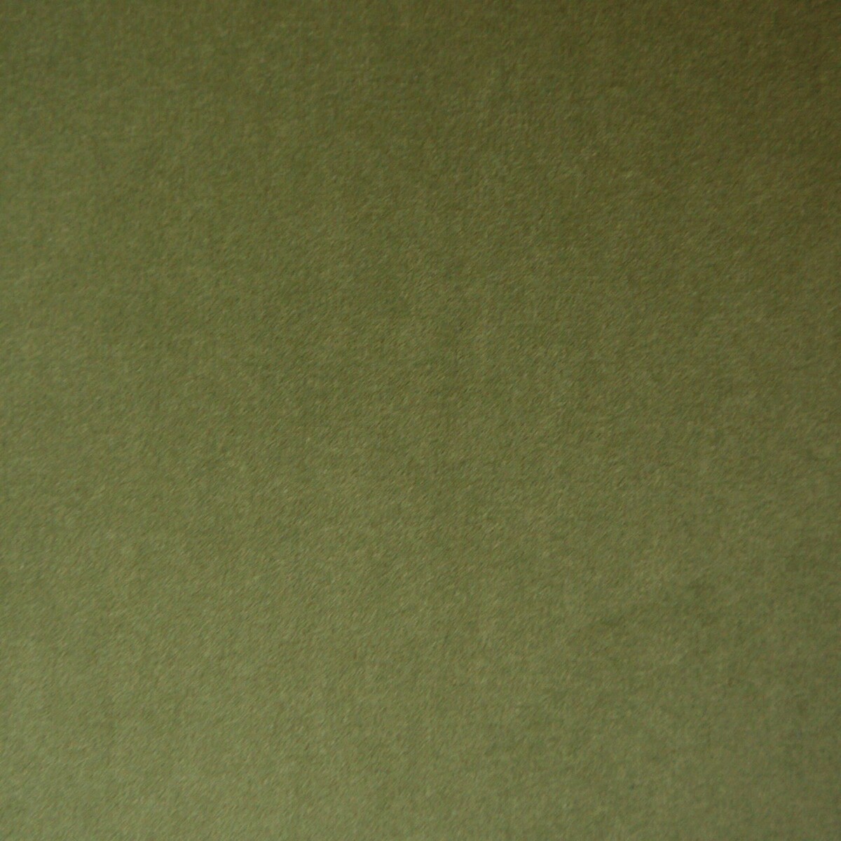 Harlow Velvet Single Sofabed with Foam Mattress olive, ÉDITÉ