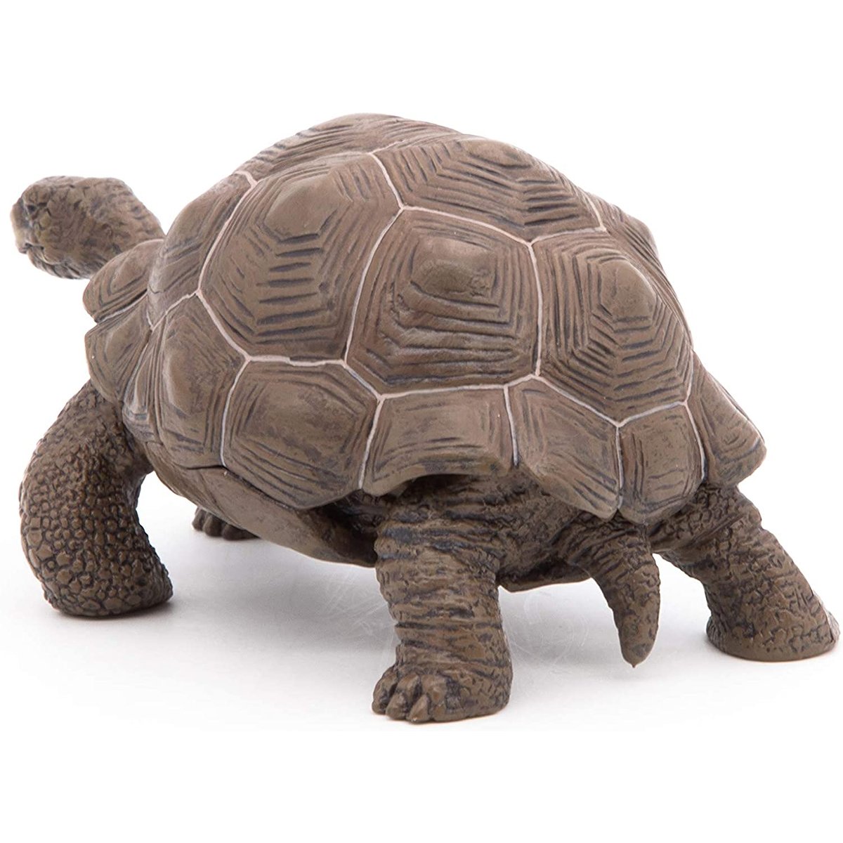 Figurine Tortue des galapagos marron, PAPO
