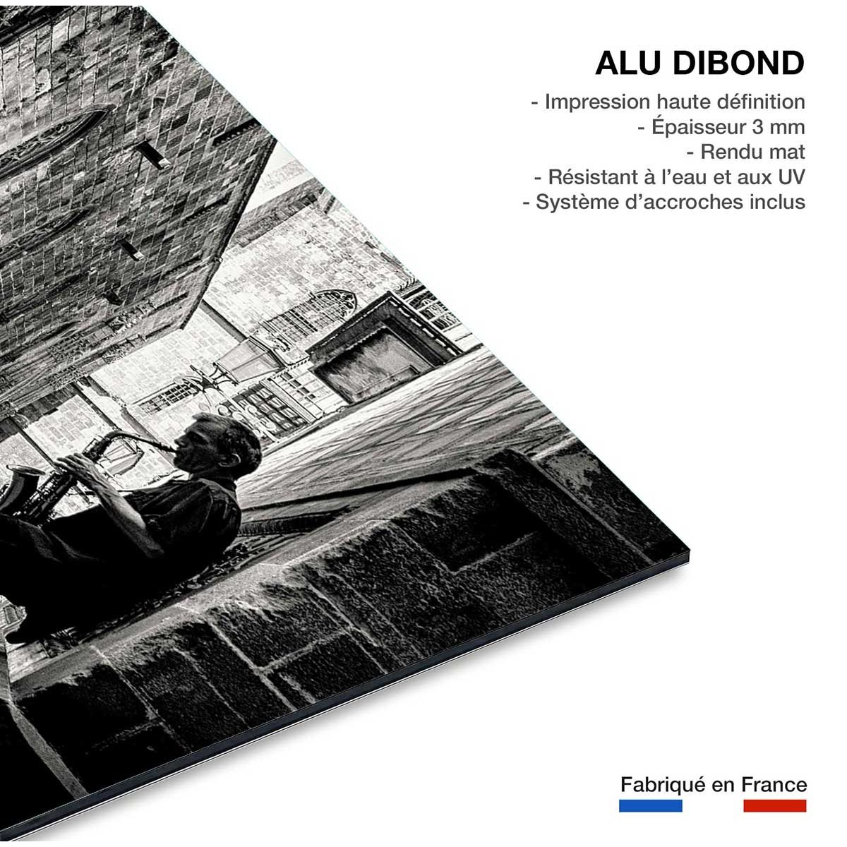 Tableau saxophone de rue tableau alu dibond, HEXOA