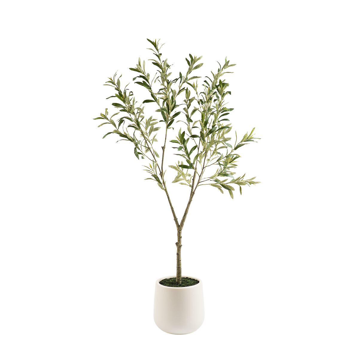 150cm Artificial Olive Tree in Cream Pot green, SO'HOME