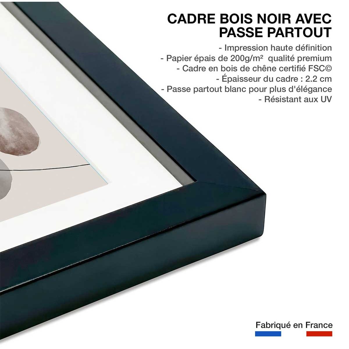 Affiche Organisme abstrait N°1 affiche + cadre en bois - noir, HEXOA