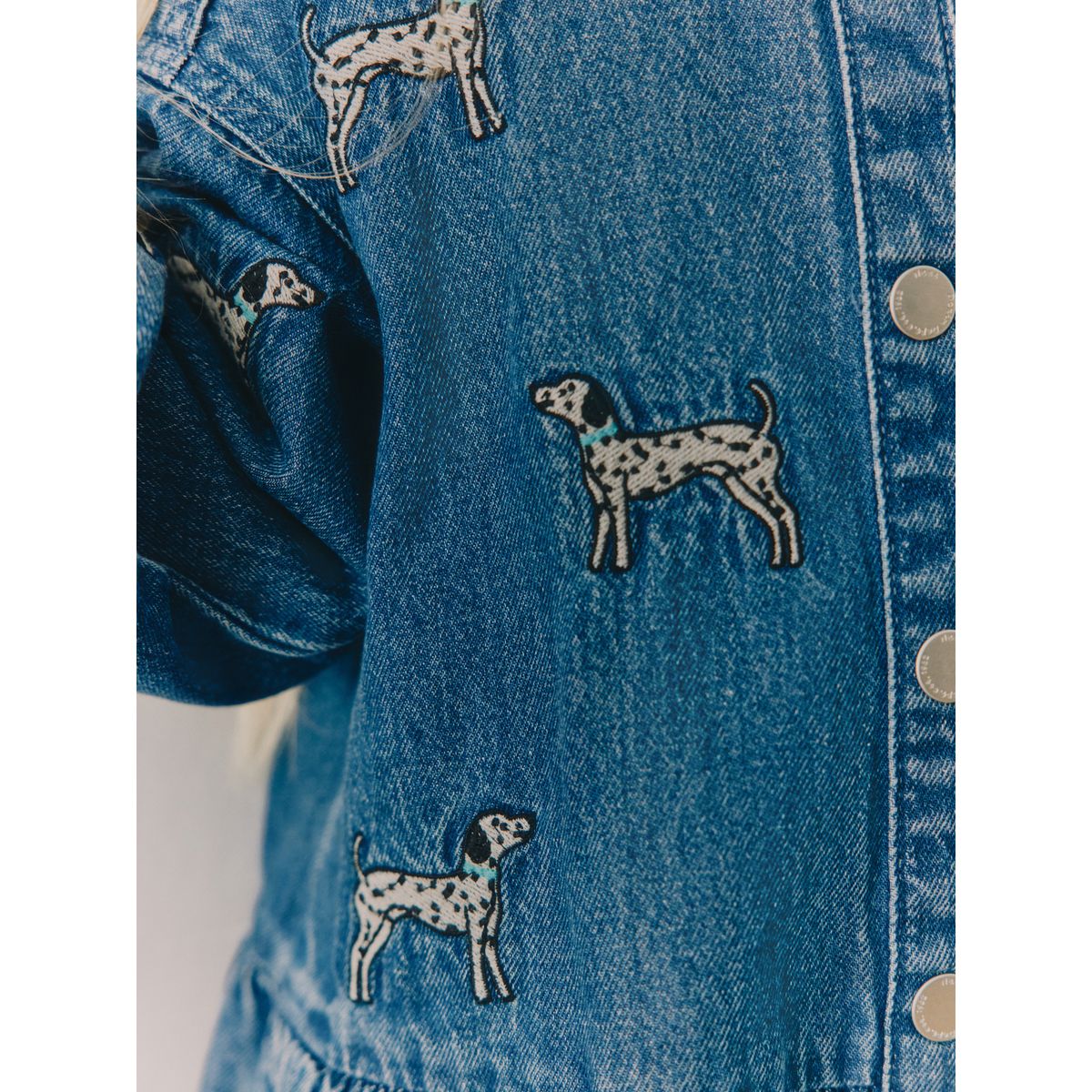 Robe en jean à superpositions et chien brodé bleu, NEXT