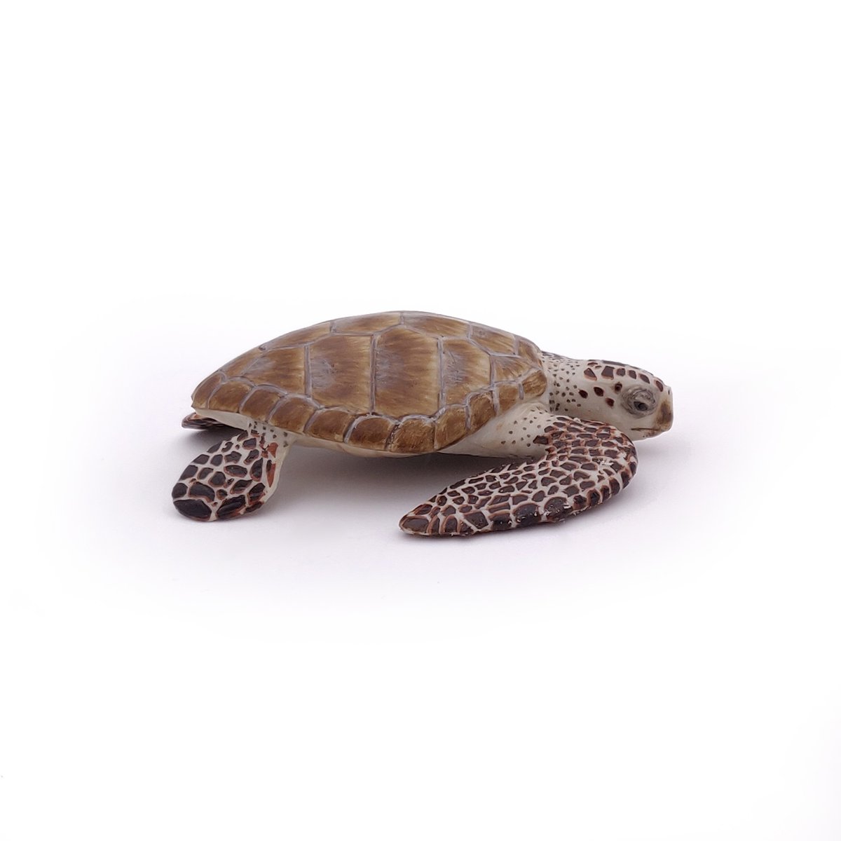 Figurine Tortue caouanne marron, PAPO