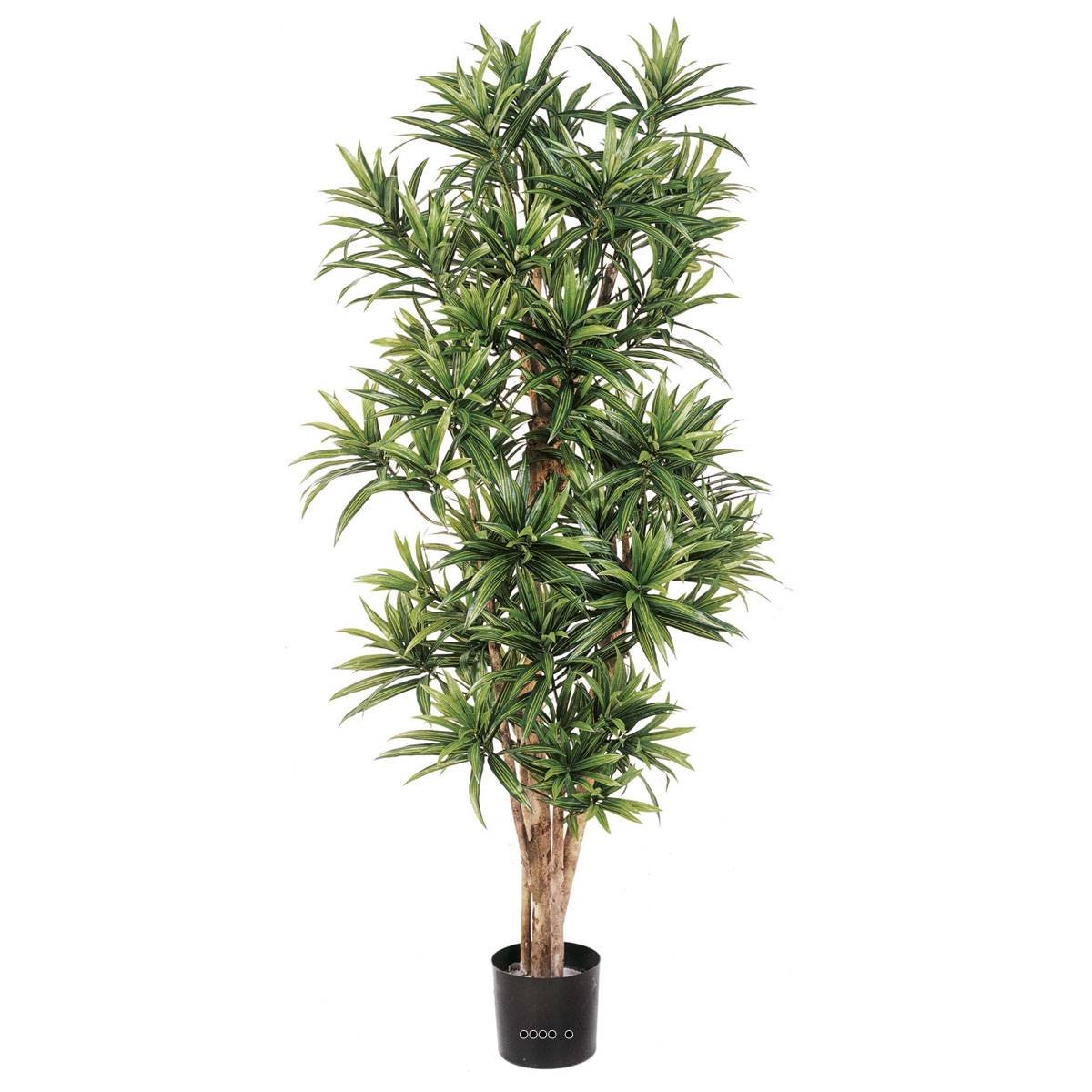 Dracaena reflexa artificiel Vert H 120 cm 100 vert, ARTIFICIELLES