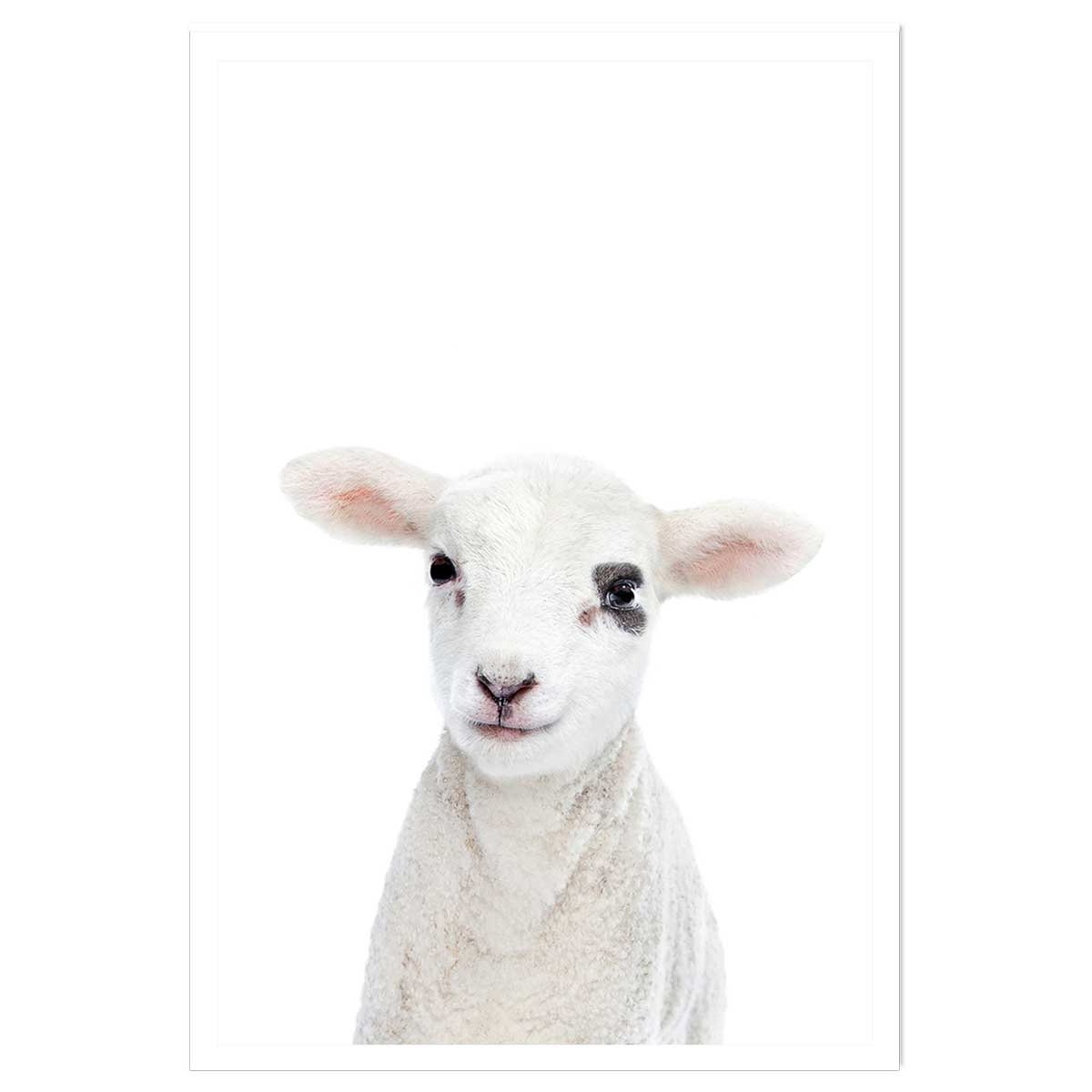 Affiche enfant bébé agneau affiche seule, HEXOA
