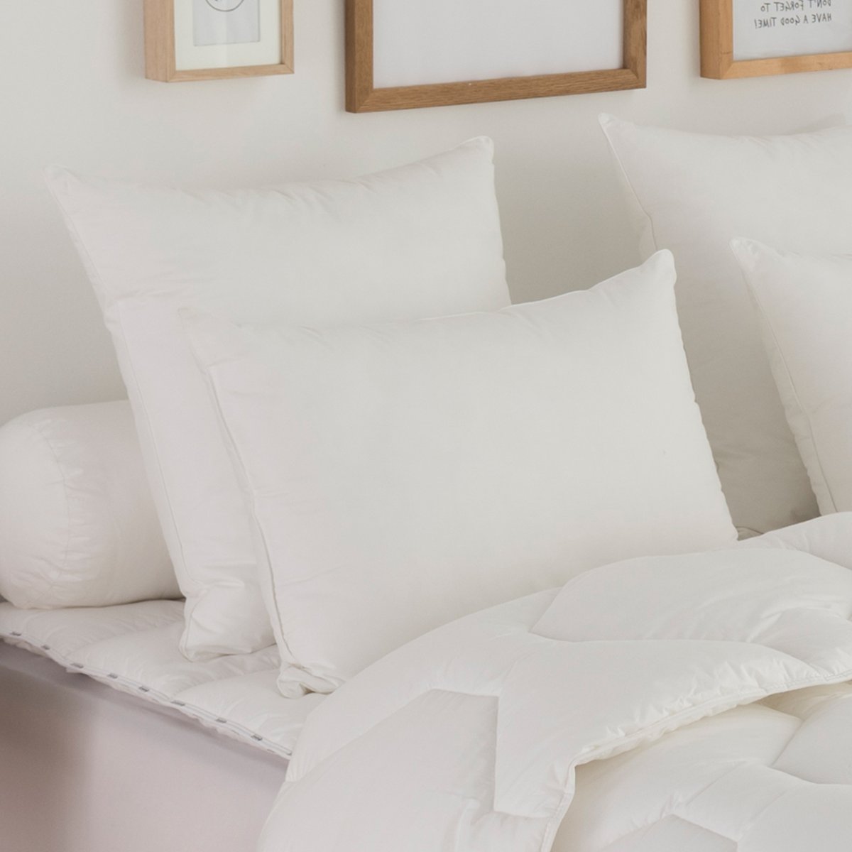 Oreiller Plumes TRES FERME blanc, DODO