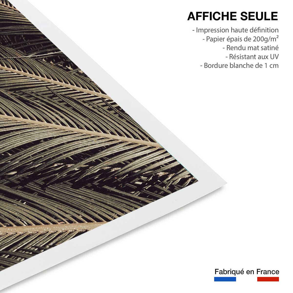 Poster palm island affiche seule, HEXOA