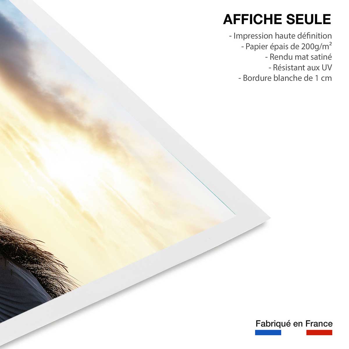 Poster dune au vent affiche seule, HEXOA