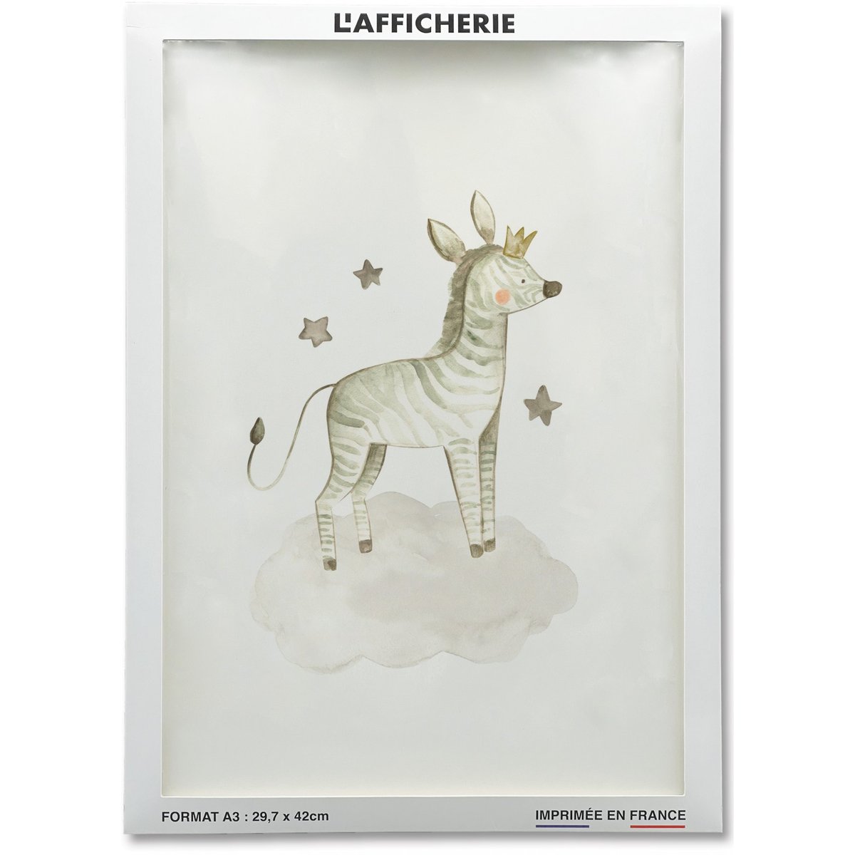 Affiche Bébé Zèbre blanc, L'AFFICHERIE