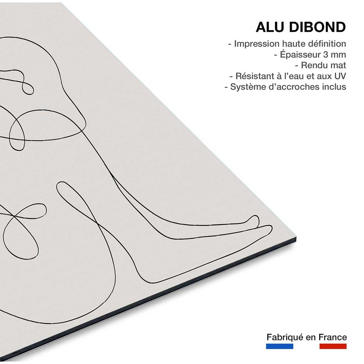 Tableau Pudeur line art tableau alu dibond, HEXOA