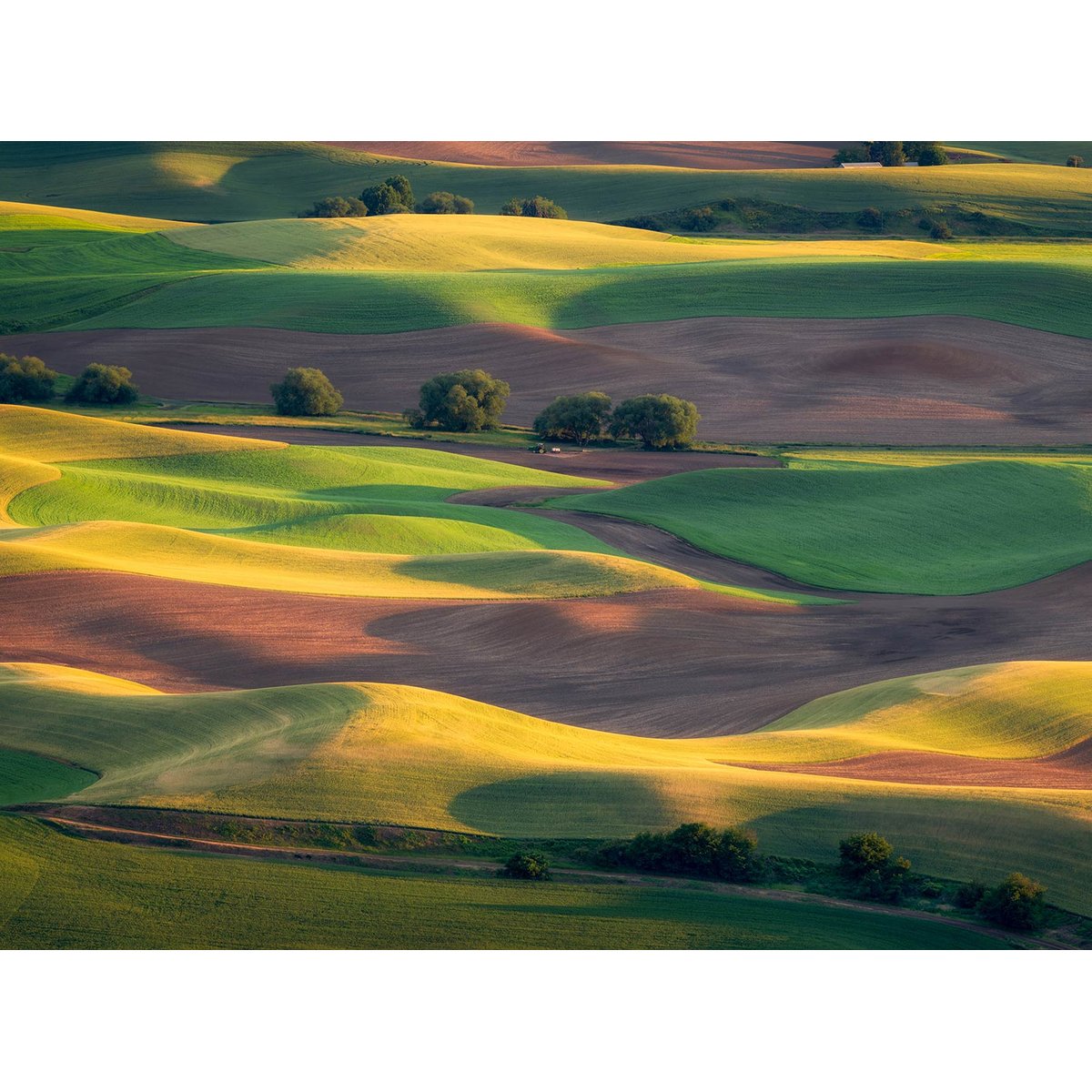 Papier peint panoramique terres agricoles intissé, HEXOA