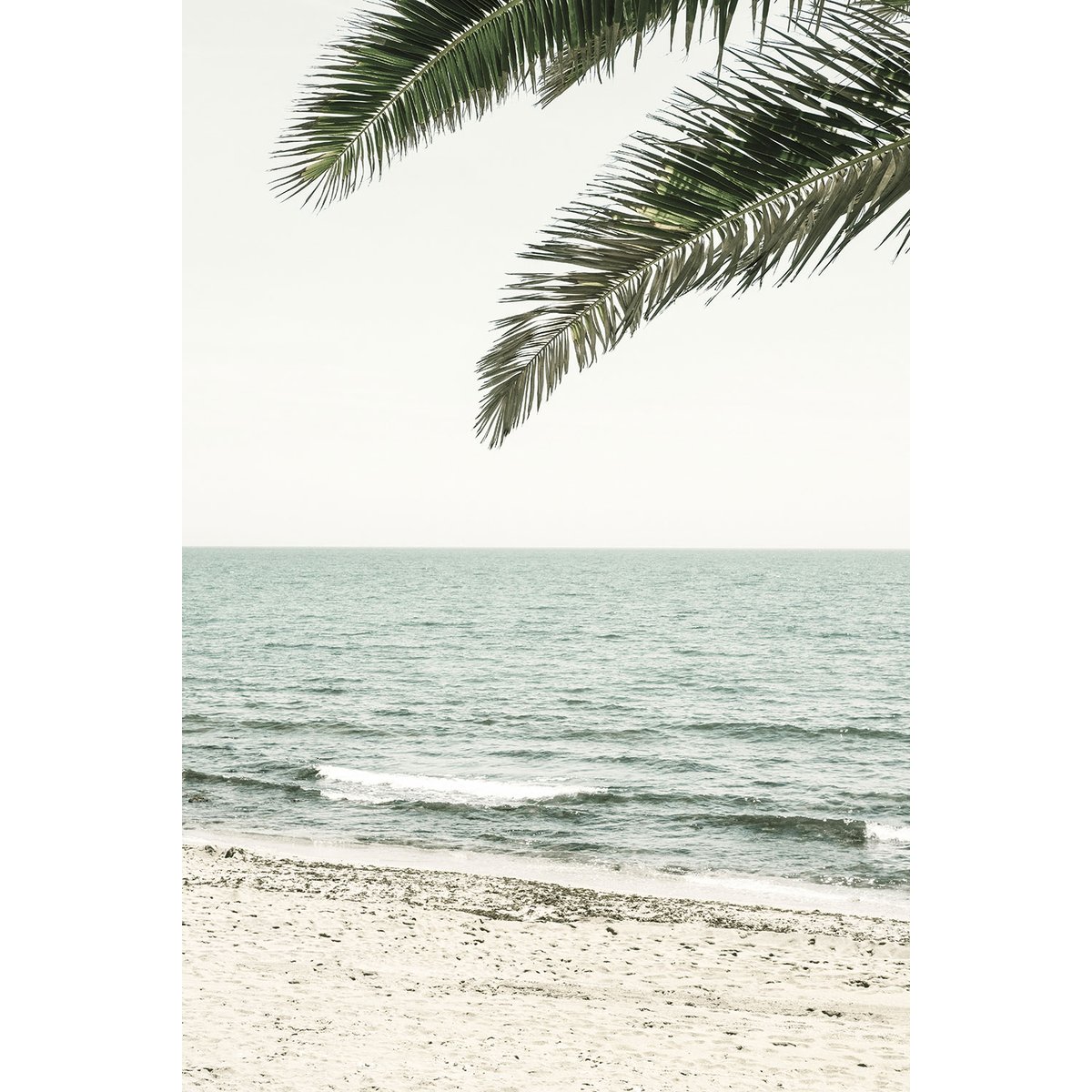 Tableau plage tropicale tableau alu dibond, HEXOA