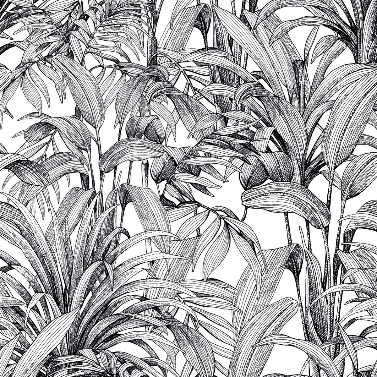 Papier peint jungle bananier noir, HEXOA